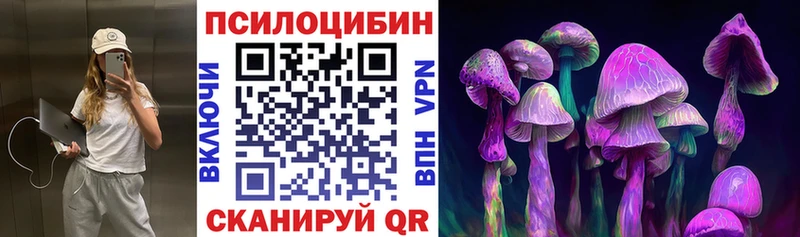 Псилоцибиновые грибы Cubensis Лесной