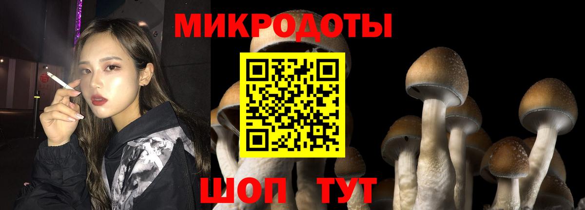 Псилоцибиновые грибы мицелий  Вход с VPN  Лесной  Галлюциногенные грибы мицелий 