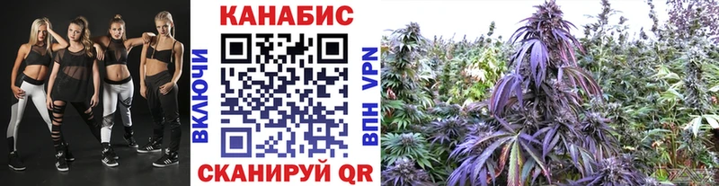 Бошки Шишки MAZAR Лесной